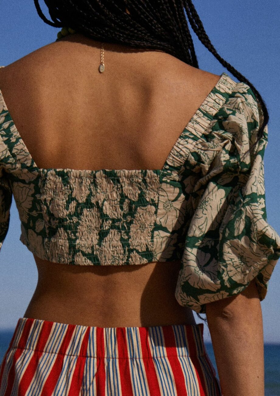 Top Iris